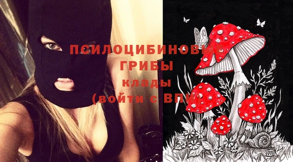 ГАЛЛЮЦИНОГЕННЫЕ ГРИБЫ Балахна