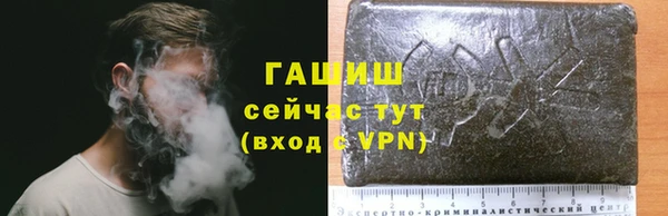 ГАЛЛЮЦИНОГЕННЫЕ ГРИБЫ Балахна