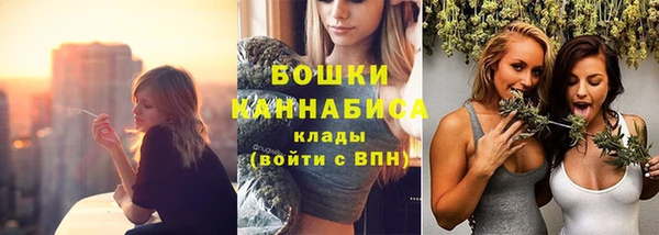 ГАЛЛЮЦИНОГЕННЫЕ ГРИБЫ Балахна