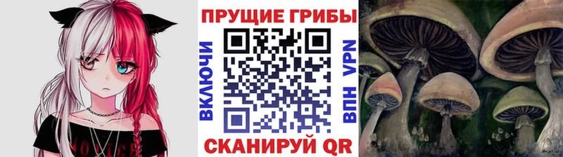 Галлюциногенные грибы Cubensis  Звенигород 